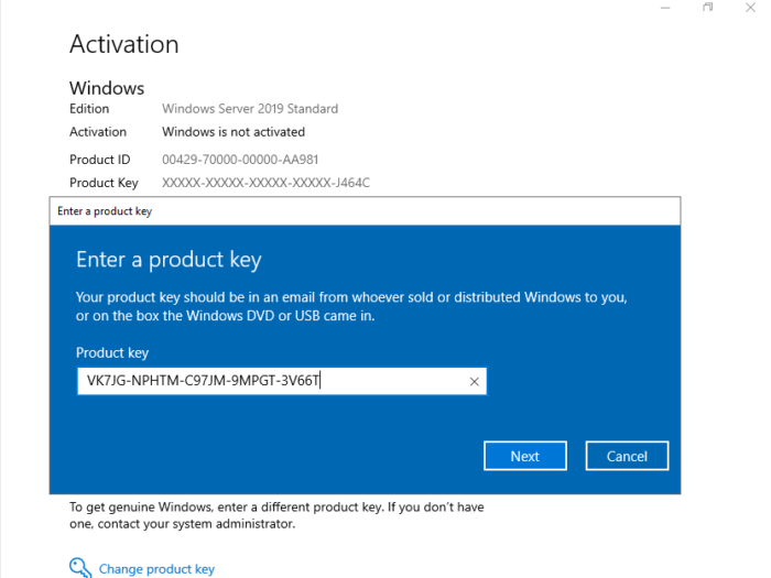 Windows Server 2019 Product Key Free